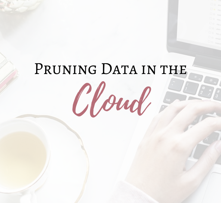 Pruning Data in The Cloud